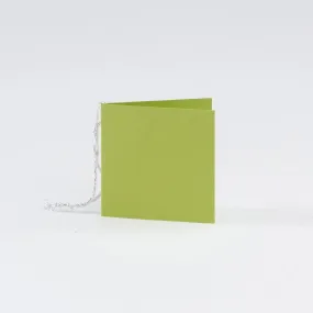 Plain Square Matt  Lime Gift Tags (50)