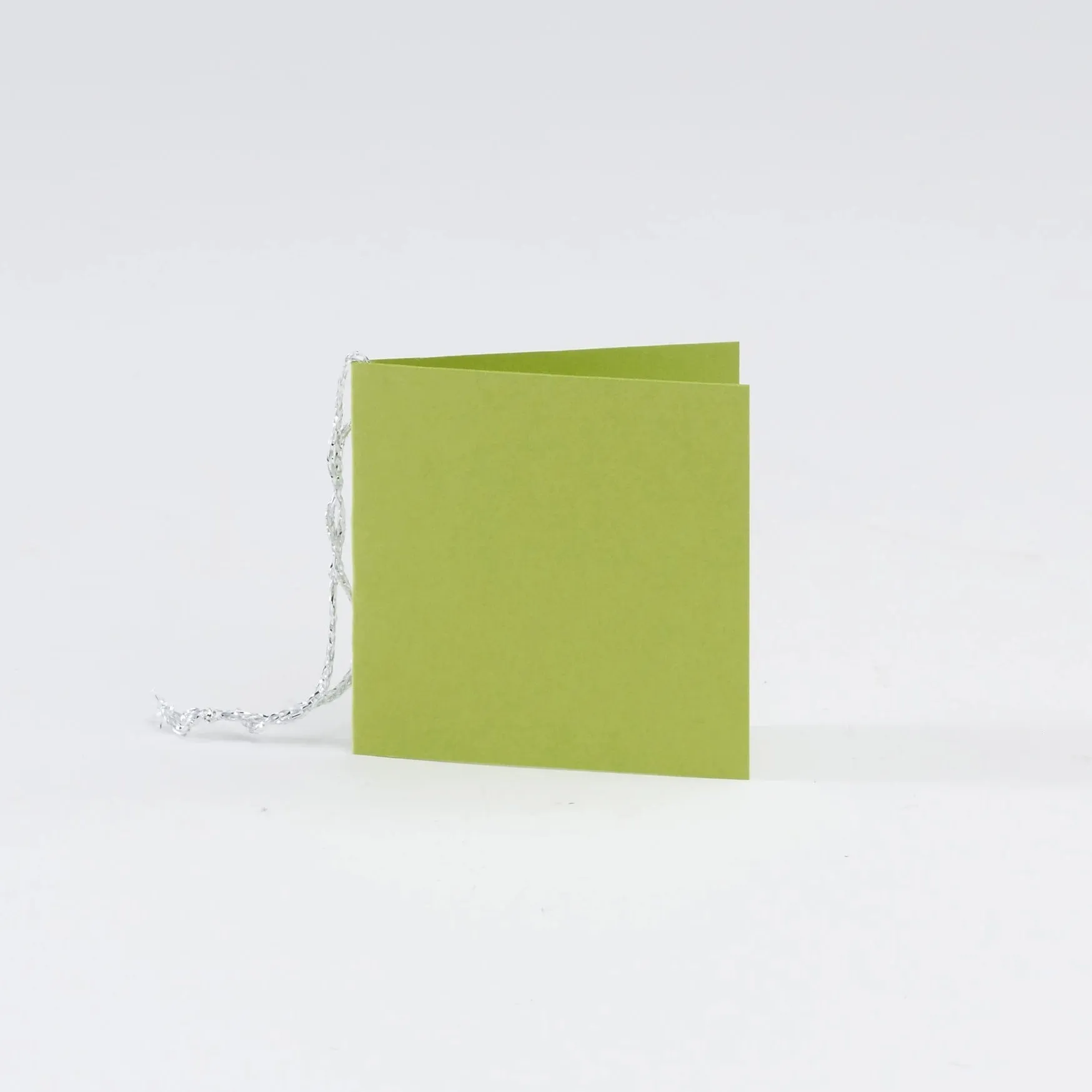 Plain Square Matt  Lime Gift Tags (50)